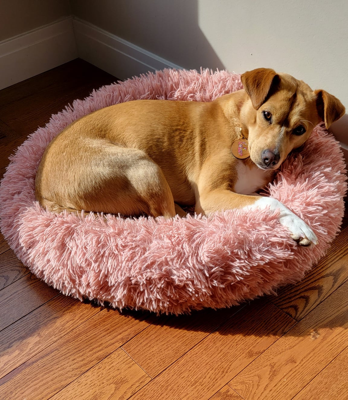 XL Pet Portrait Keychain